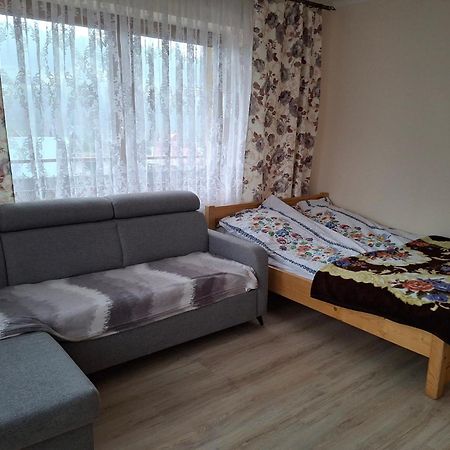Apartamenty U Gabi Poronin Eksteriør bilde